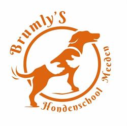 Brumly'S Hondenschool Meeden, openingstijden
