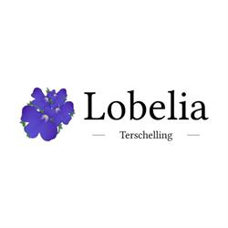 Lobelia, Midsland openingstijden