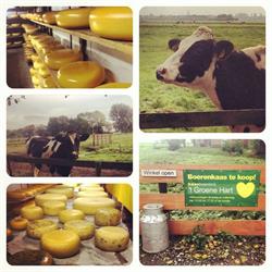 Kaasboerderij 't Groene Hart, Hoogmade openingstijden