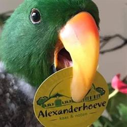 Alexanderhoeve Breukelen, openingstijden