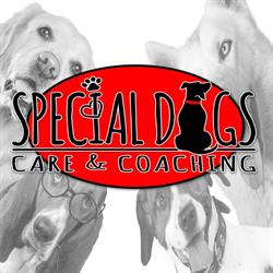 Hondengedragscentrum Special Dogs Care & Coaching Nieuw-vennep, Nieuw-Vennep openingstijden