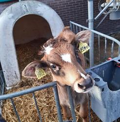 Boerderij 'De Bonte Parels', Westbroek openingstijden