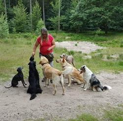 Honden uitlaatservice Dogz2Play, Prinsenbeek openingstijden