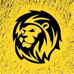 Lyon Reclame, Nootdorp openingstijden