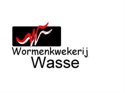 Wormenkwekerij Wasse, Beilen openingstijden