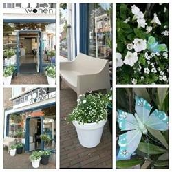 Hebbes wonen en meer., Oost-Souburg openingstijden