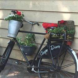 Vakantiewoning Carpe Diem, Nijverdal openingstijden