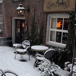 Les Abeilles Koffie/theeschenkerij en kunstnijverheid, Zeist openingstijden