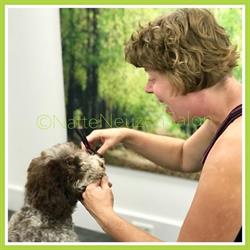 Natte Neuzen Salon, Olst openingstijden