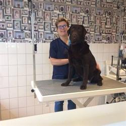 Hondentrimsalon Woefjes, Mijnsheerenland openingstijden