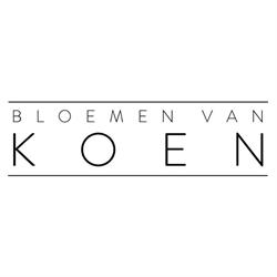 Bloemen van Koen, Middelburg openingstijden