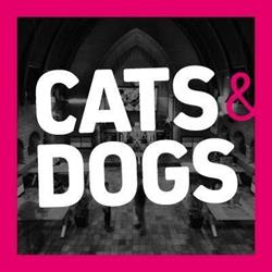 Cats&Dogs creatieve communicatie, Leiden openingstijden