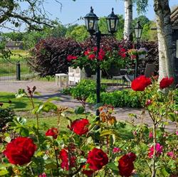 B&B de Veldeling, Hollandscheveld openingstijden