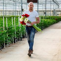 Amarylliskwekerij Evers vd Sandt, Angeren openingstijden