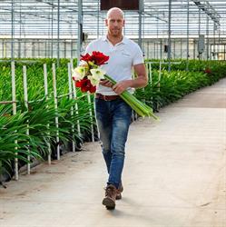 Amarylliskwekerij Evers vd Sandt, Angeren openingstijden