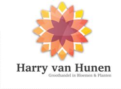 Harry van Hunen Bloemen en planten handel, Vaassen openingstijden