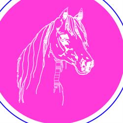 Manege Castellum, De Meern openingstijden