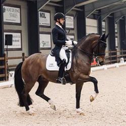 VMF Stables, Ellemeet openingstijden