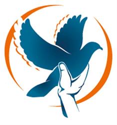Stichting Help Flores! (SHF!), Dronten openingstijden