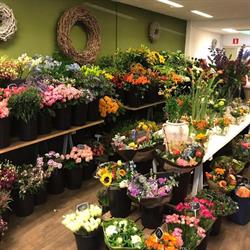 Mooie Bloemen, Amersfoort openingstijden
