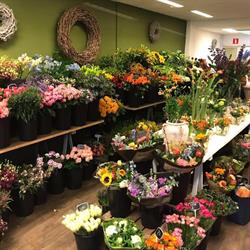 Mooie Bloemen, Amersfoort openingstijden