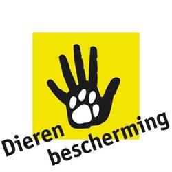 Dierenambulance Brabant Zuid-Oost, Eindhoven openingstijden