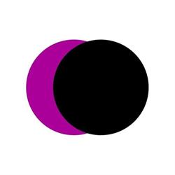 Nederlandse Filmacademie, Amsterdam openingstijden