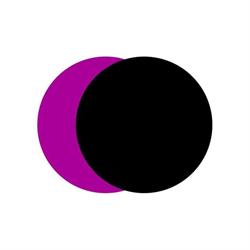Nederlandse Filmacademie, Amsterdam openingstijden
