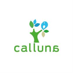 Calluna Gebouw, Arnhem openingstijden