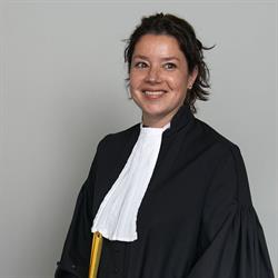 Daemen Advocatuur & Mediation, Maastricht openingstijden