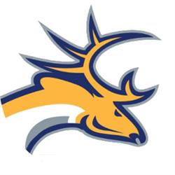 Tilburg Trappers, openingstijden