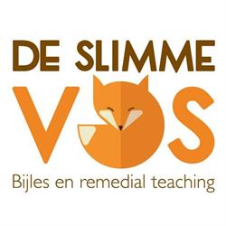 De Slimme Vos Bijles Rotterdam, openingstijden