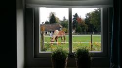 Op Het Liefveld, Oirschot openingstijden