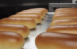 Bakkerij BROODopMAAT, Tilburg openingstijden