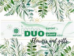 Duoplant Flowers & Gifts Uithoorn, openingstijden