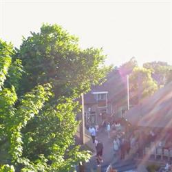 Het Wapen van Zoetermeer, openingstijden