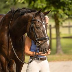 Stal Schependom, Lochem openingstijden