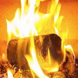 Hout Briketten Berghem, openingstijden
