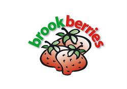Brookberries, Venlo openingstijden
