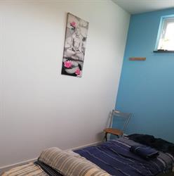 V-Sense, Sint-Oedenrode openingstijden