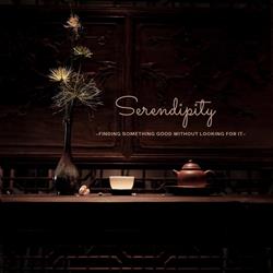 Serendipity Acupuncture, Oud-Beijerland openingstijden