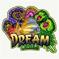 Dreamcorals BV, Almere openingstijden
