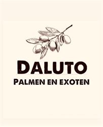 DALUTO Palmen en Exoten, Kudelstaart openingstijden