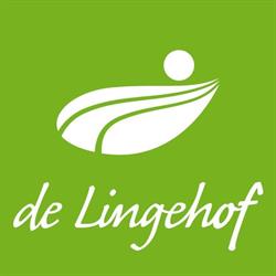 De Lingehof Techniek BV, Rhenoy openingstijden