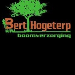 Bert Hogeterp boomverzorging, Joure openingstijden