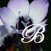 Beri Bio Beauty, Geleen openingstijden