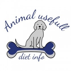 Animal Usefull Diet Info, Sint Maarten openingstijden