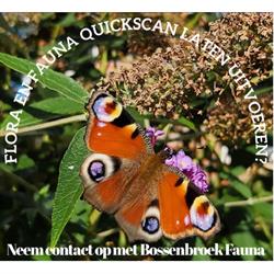 Bossenbroek Fauna, Kampen openingstijden