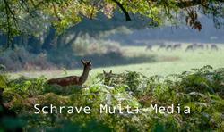 Schrave Multi-Media, Enschede openingstijden