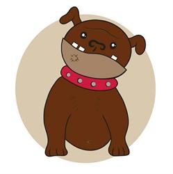 Dussboel Hondenschool & Privéles / Gedragstherapie & Kennel Continentale Bulldog & Hondenpension, Hooghalen openingstijden
